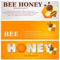 Honey label premium quality title. Paper cut style bee with honeycombs and Bee. Template design for banner